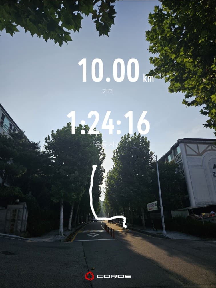 A COROS workout photo showing 10 km and 1 hour 24 minutes 16 seconds over a tree-lined road in morning sunlight